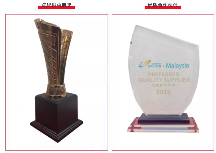 青龍榮獲碧桂園集團(tuán)兩項(xiàng)殊榮 防水材料