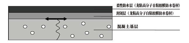 龍粘高分子自粘膠膜防水卷材 龍粘高分子自粘膠膜防水卷材
