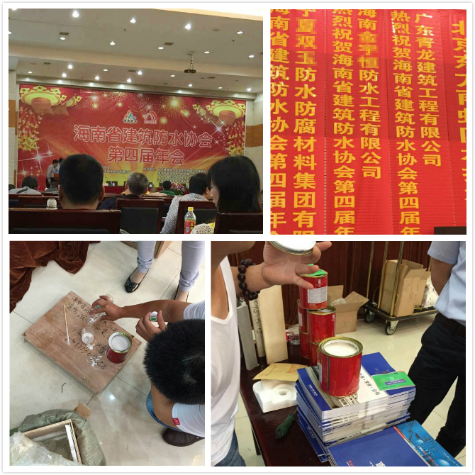 青龍參會(huì)人員現(xiàn)場(chǎng)模擬施工作樣 海南防水